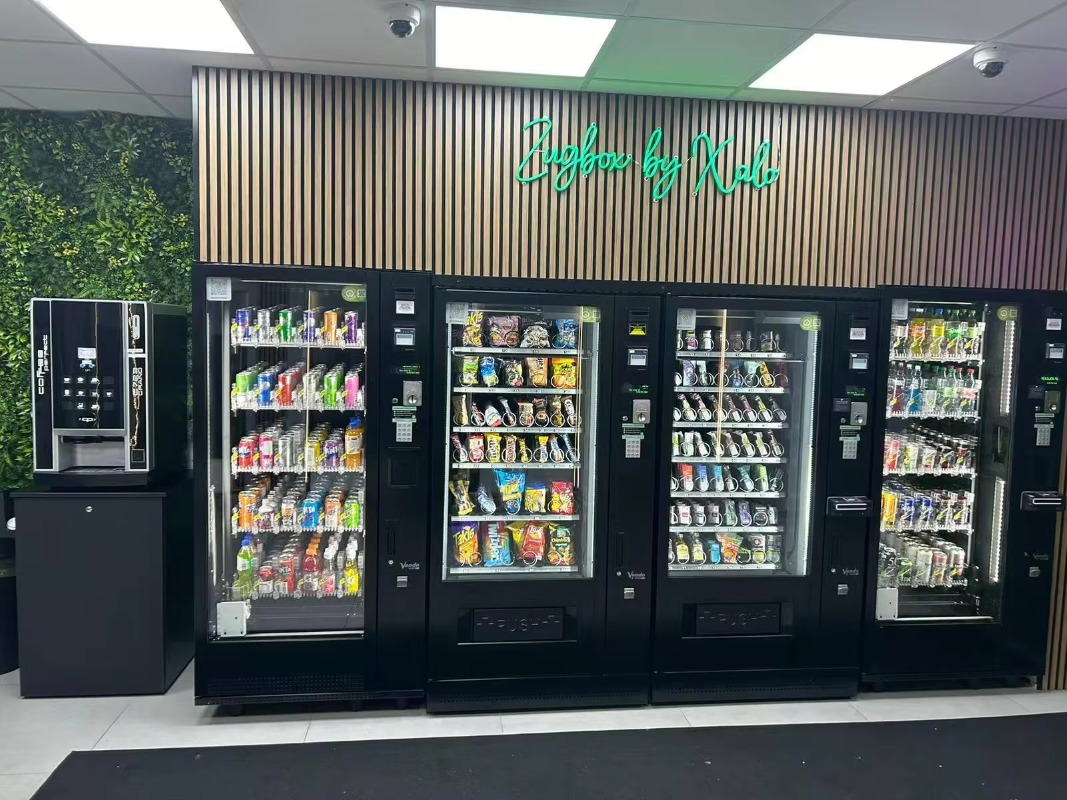 Commercial Smart Snack Vending - đánh giá và giá Arcade Vending Machine